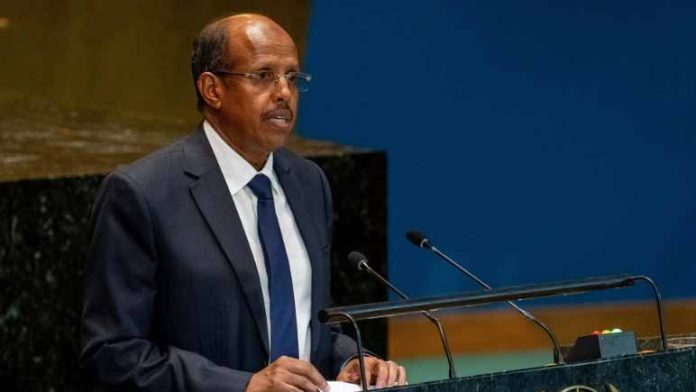 Djibouti’s foreign minister elected to top African Union post